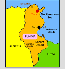 ट्यूनिसियामा आतंककारी आक्रमणमा ६ सैनिकको मृत्यु